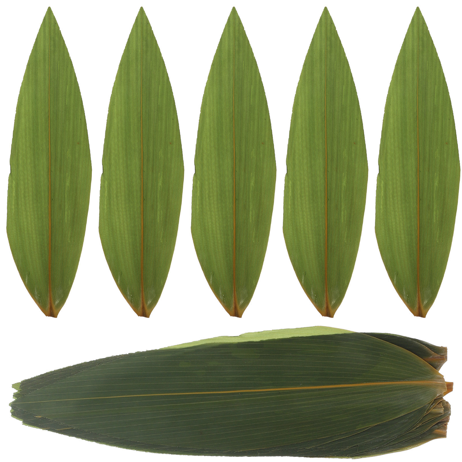100pcs Sushi Bamboo Leaves Sas - Sushi Mat Bamboo incelemesi ve fiyatı